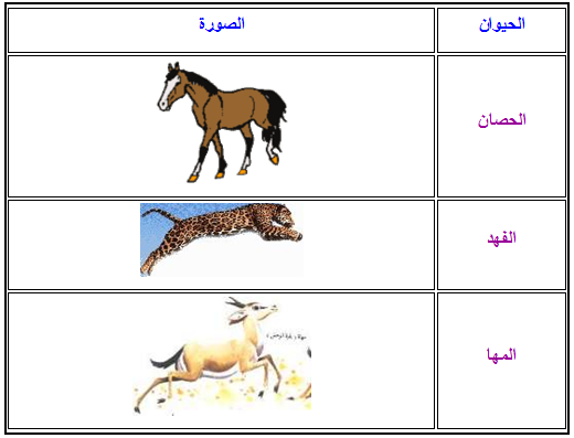 التنقل عند الحيوانات - لا يفوتك سبب انتقال الحيوان 2046