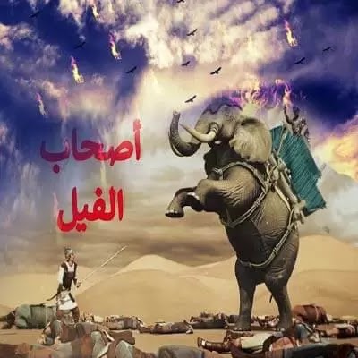 ما سبب تسميه عام الفيل بهذا الاسم - تعرف علي العديد من امور دينك 1330 1