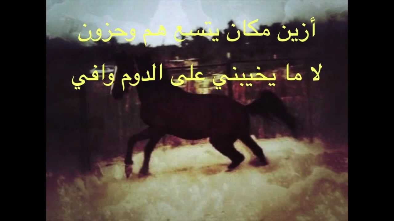 شعر عن الحصان - اجمل ما قيل عن الخيل 4224