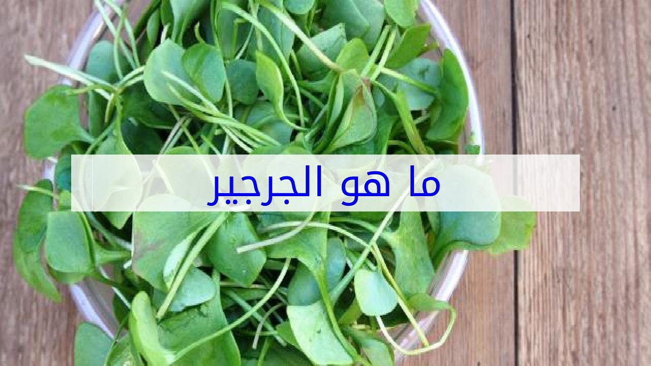 ماهو الجرجير في الجزائر - تعرف علي الجرجير 873 2