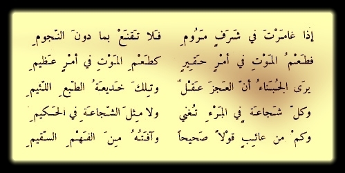 شعر المتنبي في الحكمة - شاهد اجمل اشعار المتنبي في الحكمة 2697 14