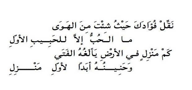 اجمل بيت شعر عربي - شعر عربي معبر 1046 10