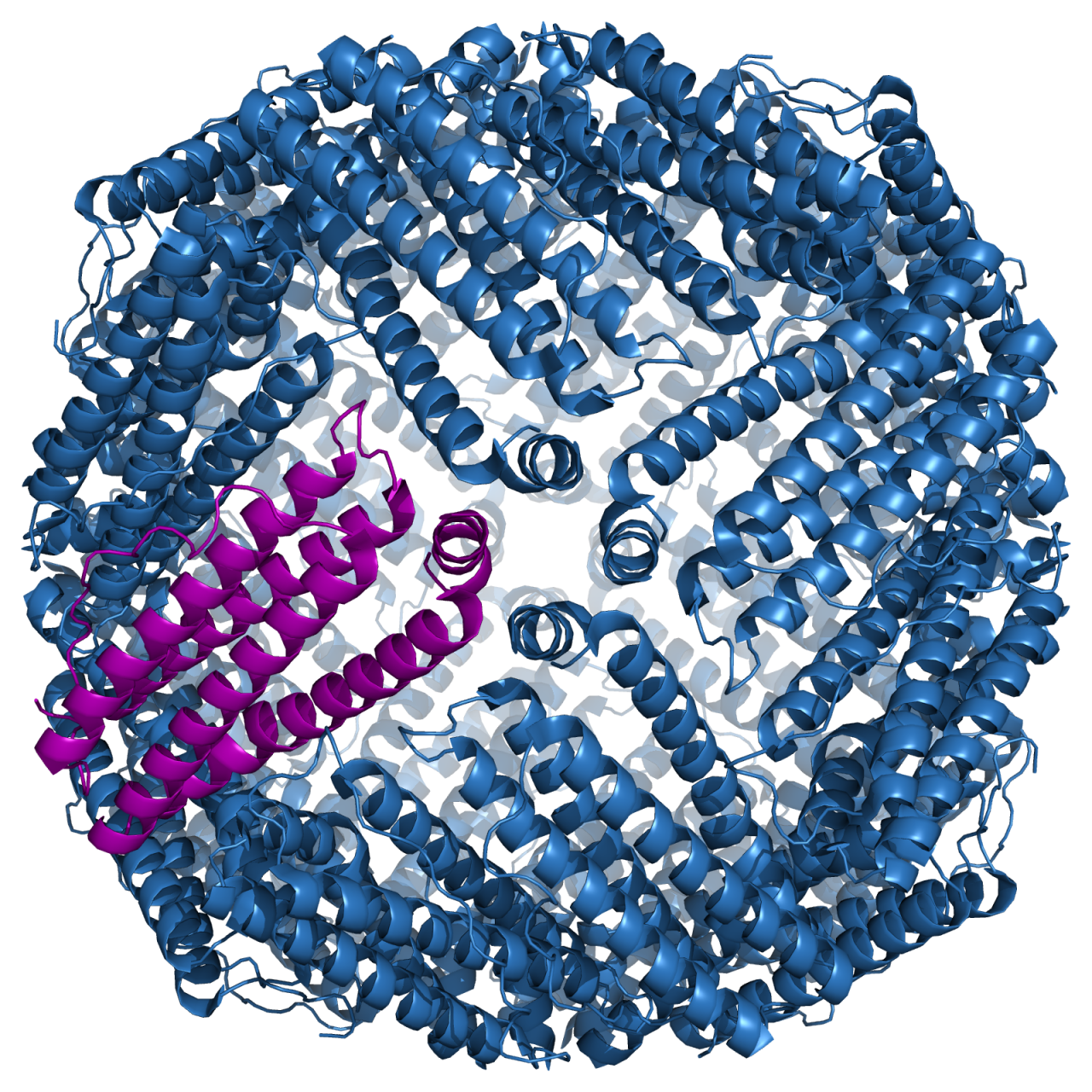 ما هو تحليل Ferritin - علاج نقص مستوي الحديد في الجسم 2404