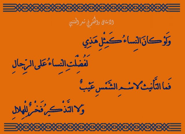 شعر المتنبي في الحكمة - شاهد اجمل اشعار المتنبي في الحكمة 2697 9