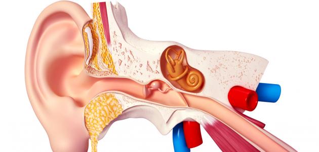 سبب خروج الدم من الاذن - تفسير الطب لنزول الدم من الاذن 2960 2