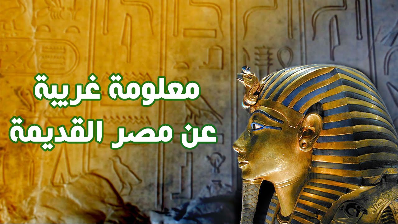 معلومات عامة عن مصر - ما تعرفه عن مصر 2972 1