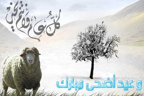 تنزيل صور عيد الاضحي - فرحة العيد الكبير