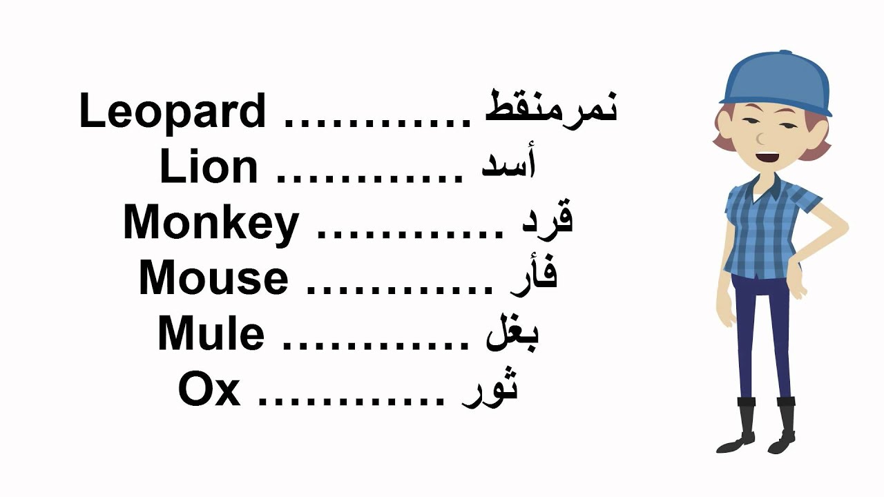 اسامي الحيوانات بالانجليزي - دليل اسامى الحيوانات بالانجليزى 4117 5