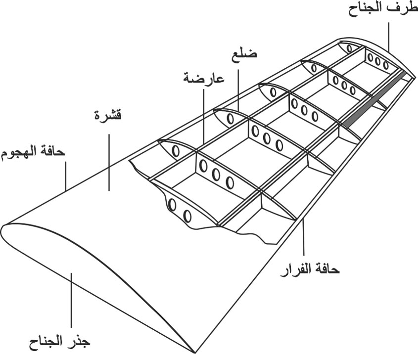 صور مكونات الطائرة - سبحان الله وسيلة نقل معجزة 4858 8