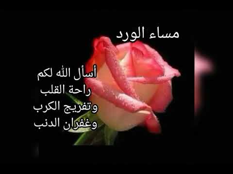 مساء الخير دعاء- اجمل الامسيه- 10261 1