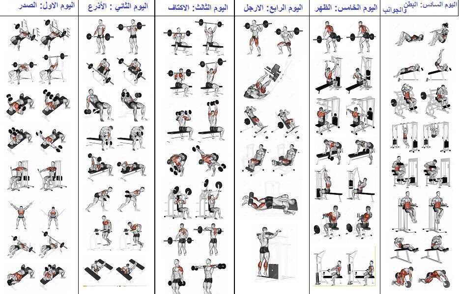 تمارين كمال اجسام - اظبط جسمك بابسط التمارين 1048 5