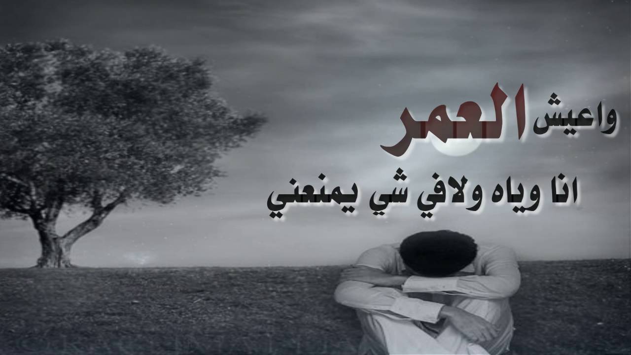 احلى شعر في العالم - الشعر بلغتنا الجميلة 2341 9