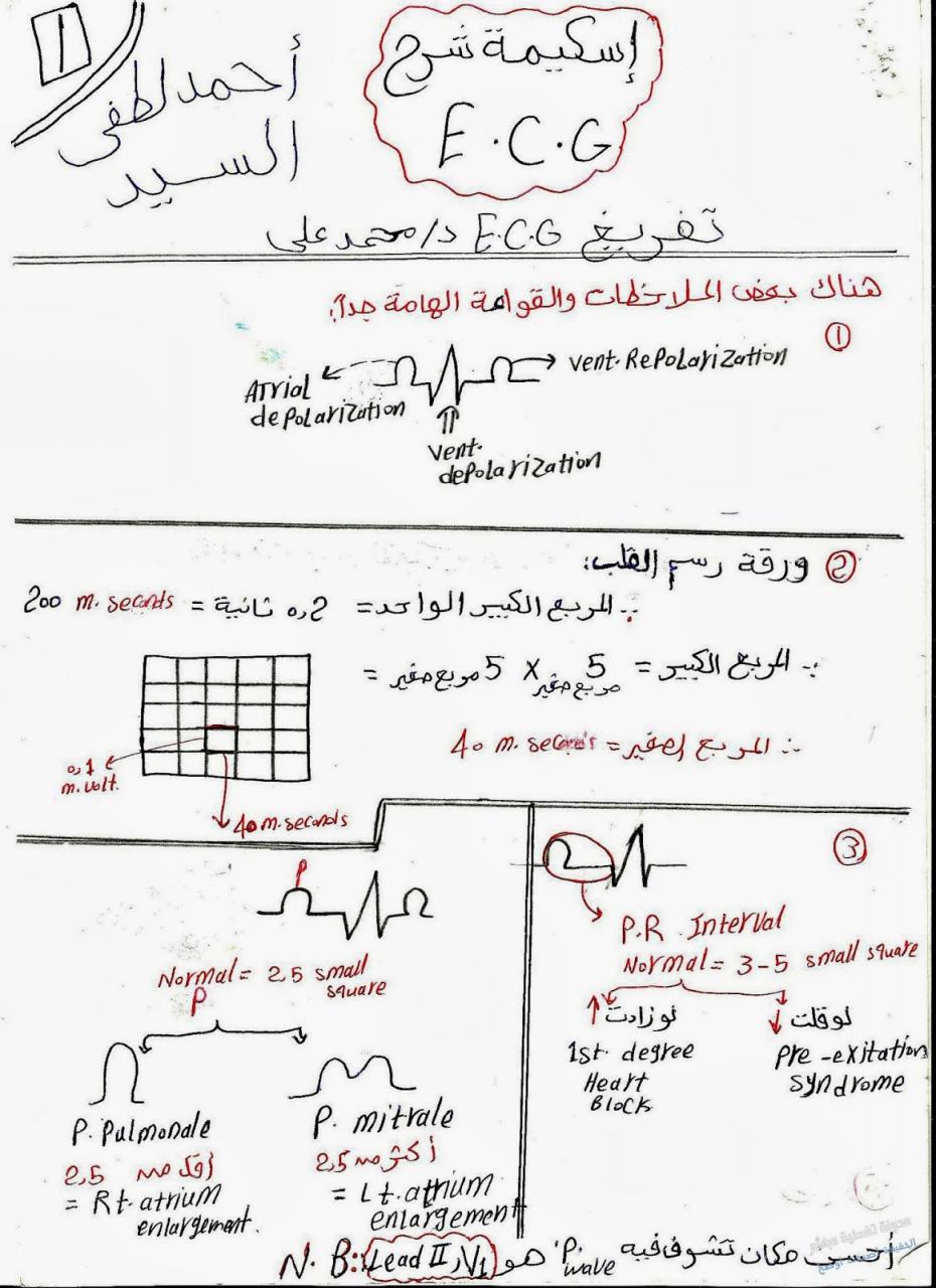 كيفية قراءة رسم القلب - كيف يمكنني ان اقرا تخطيط القلب 3032 3