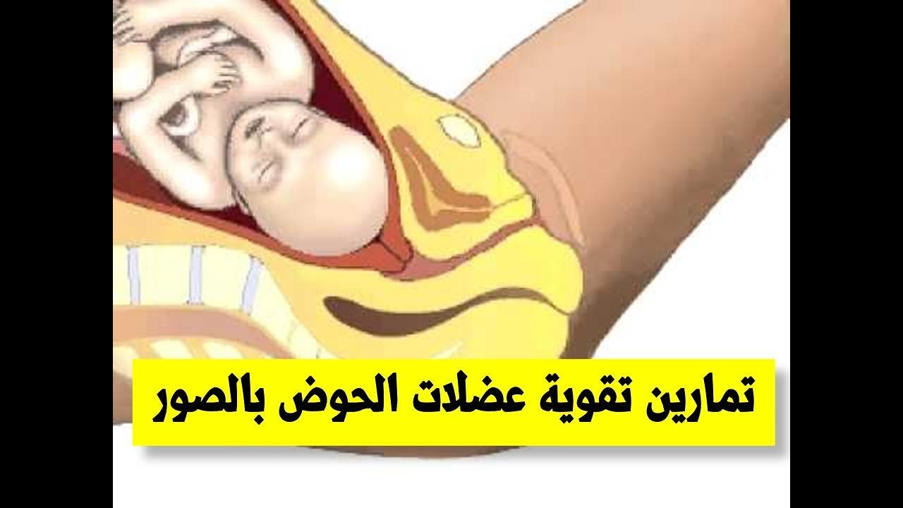 تقوية عضلة المثانة - اسباب وطرق علاج ضعف المثانه 2630 1