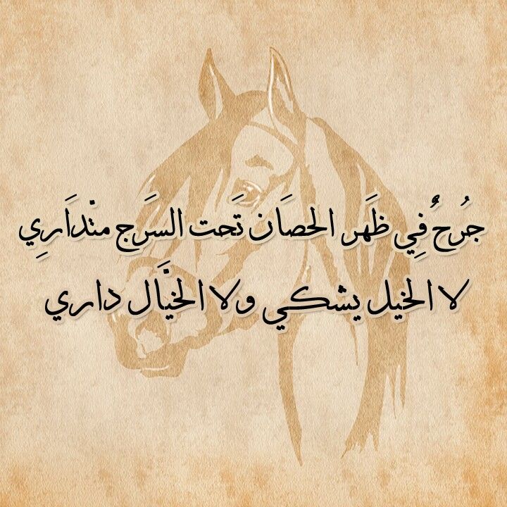 شعر عن الحصان , اجمل ما قيل عن الخيل