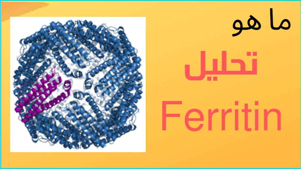 ما هو تحليل Ferritin - علاج نقص مستوي الحديد في الجسم 2404 1