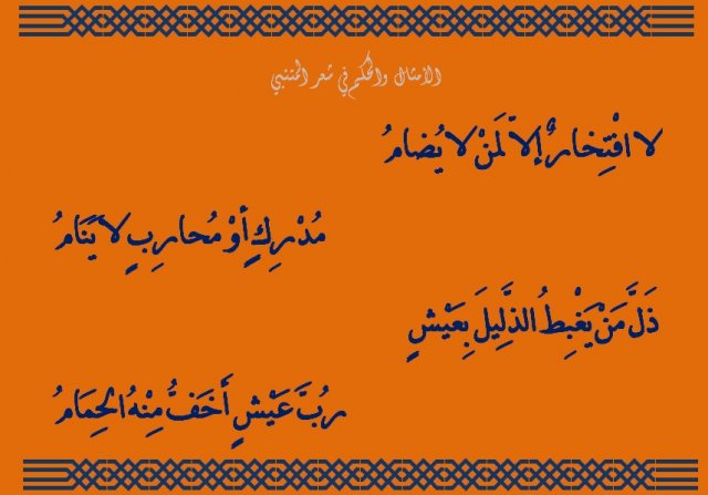 شعر المتنبي في الحكمة - شاهد اجمل اشعار المتنبي في الحكمة 2697 11