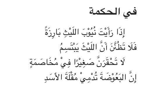 شعر المتنبي في الحكمة - شاهد اجمل اشعار المتنبي في الحكمة 2697 6