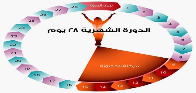 متى لا يحدث الحمل بعد الدورة الشهرية - هل يمكن ان يحدث حمل بعد الدوره الشهريه 2782