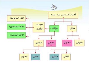 ينقسم الاسم من حيث جنسه الى , اقسام الاسم من حيث جنسه المذكر والمؤنث , 