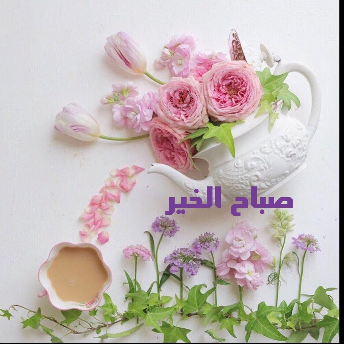 صور ومسجات صباح الخير - احلي واجمل صباح 4816 9