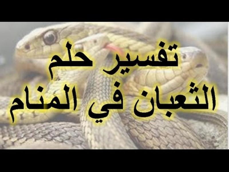 تفسير حلم رؤية الثعبان , لو شفت تعبان هيحصلي ايه