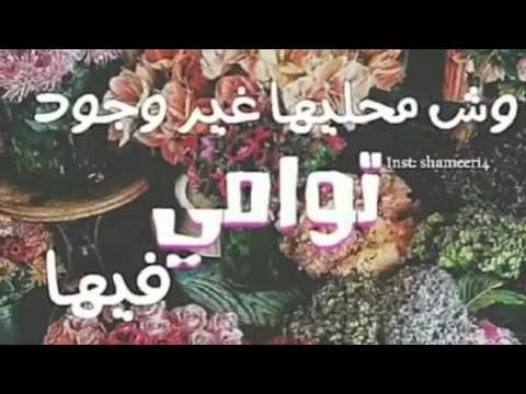 كلام عن توامي , احلي كلام حب لاخوات