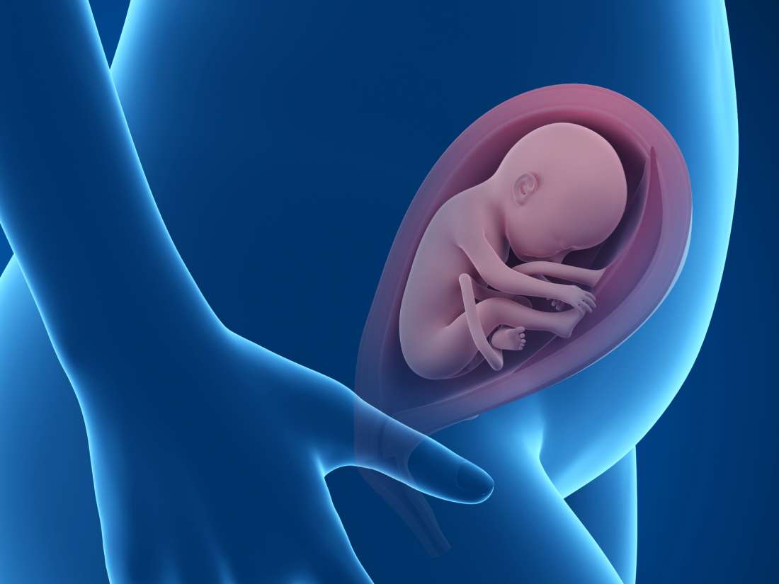 متى يظهر نوع الجنين الكشف بالسونار لمعرفه نوع الجنين قبلات الحياة