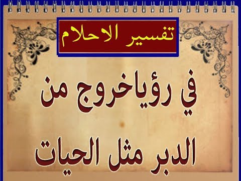 الدبر في المنام - ماذا لو رايت الدبر في حلمك 7332 2